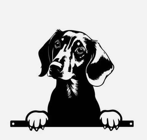 Dachshund hound dog fence - dachshund,