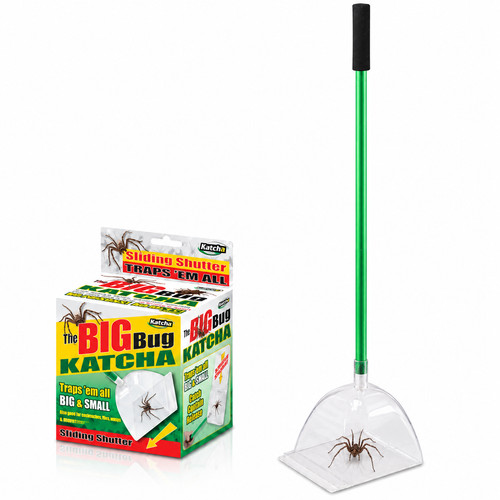 Katcha false widow - false,