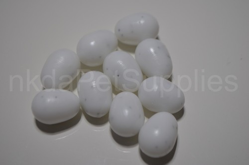 Dummy eggs for finches - dummy,