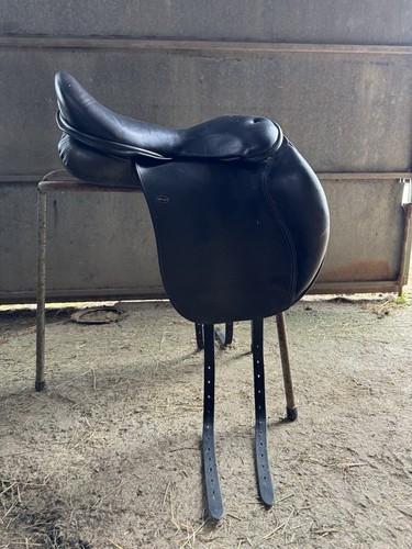 Saddle - ,
