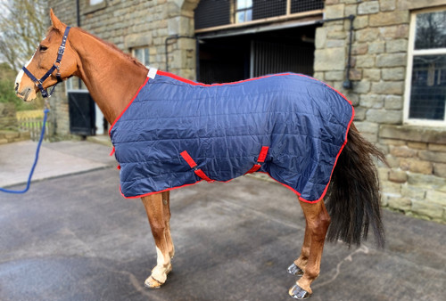 Stable horse pony rug 100g - horse,