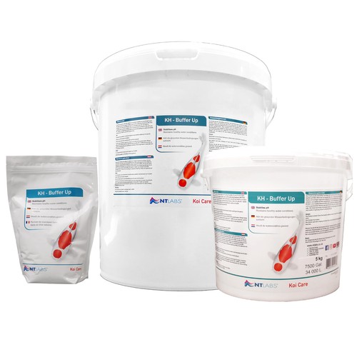 Labs buffer up increase - nt,
