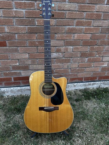 Farida acoustic guitar - farida,
