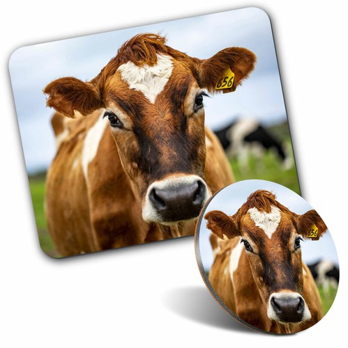 Mouse mat coaster set - mouse,