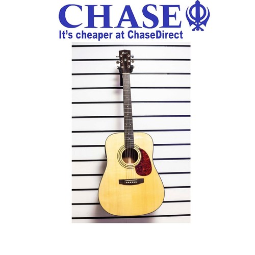 Electro acoustic guitar - electro,