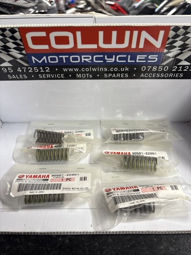 Genuine yamaha fzs600 2000 - genuine,