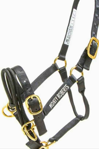 Monty roberts black - monty, dually