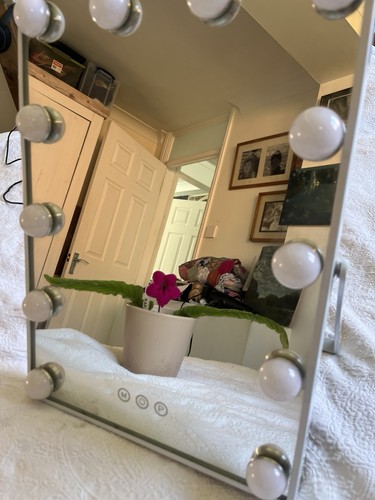 Vanity mirror with led lights - mirror,