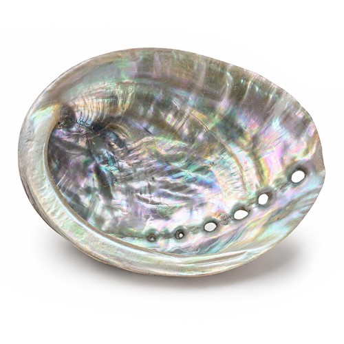 Natural inch abalone - 4-4.5,