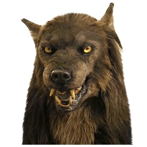 Halloween wolf mask - wolf, faux