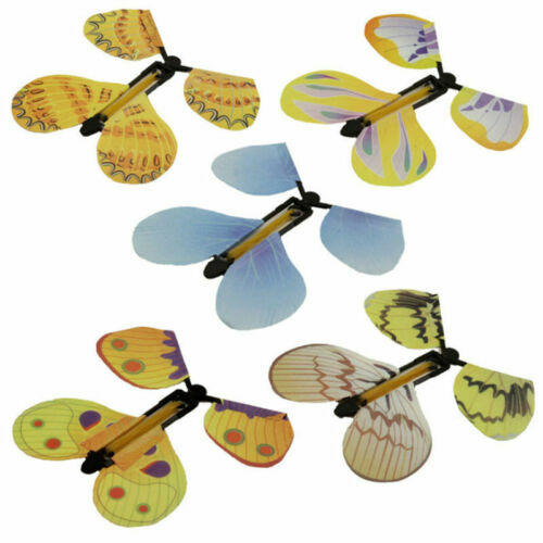 Qty flying butterfly - flying,