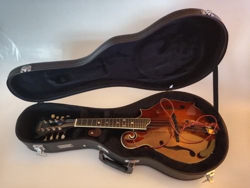 Eastman guitars md515 - eastman,