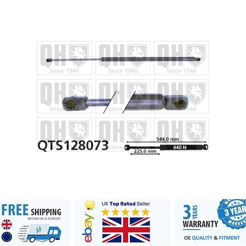 Cargo area gas spring for - area,