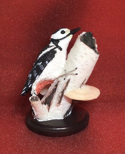 Country bird collection andy - bird,