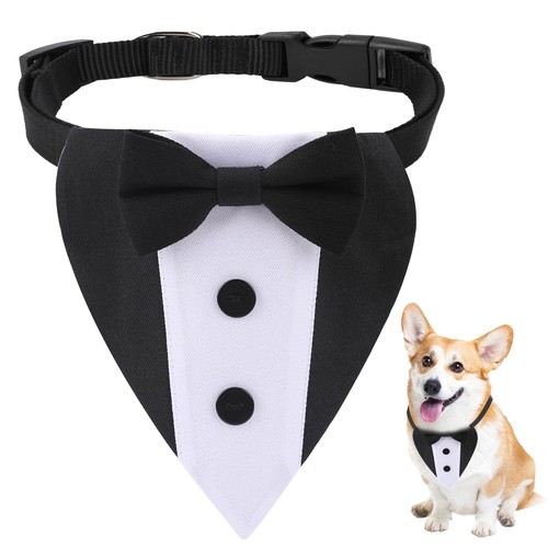 Dog tuxedo wedding bandana - dog,