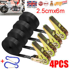 6m x 25mm Zinc Ratchet Straps