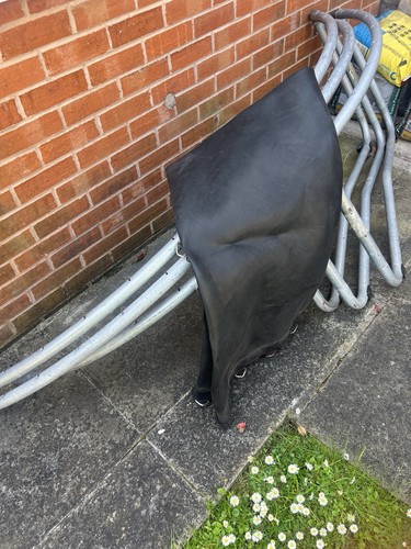 14ft trampoline collection - trampoline, (collection