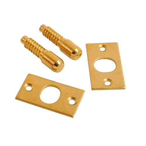 Security door hinge bolts - hinge,