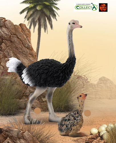 Ostrich bird toy model - bird, figures