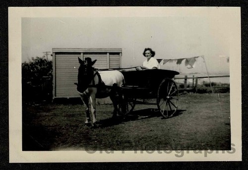 Woman wheeled horse drawn - woman,