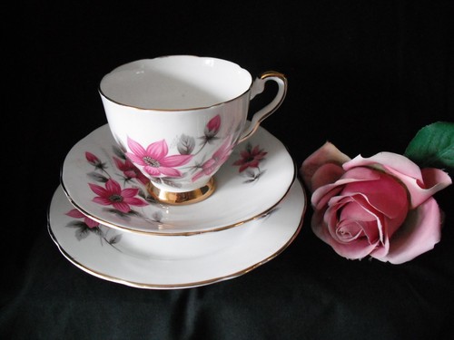 Royal stafford evesham - stafford, pink