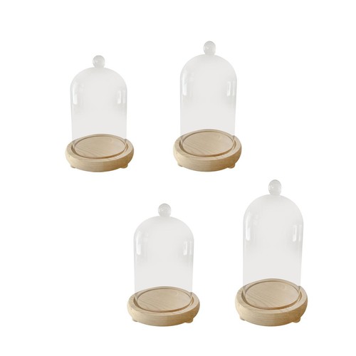 Cloche glass dome - glass, display