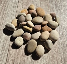 25 beach pebbles/sea stones