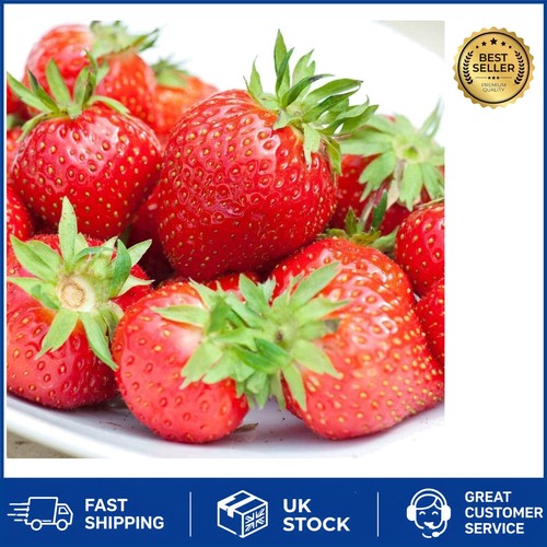 Organic strawberry flamenco - organic,