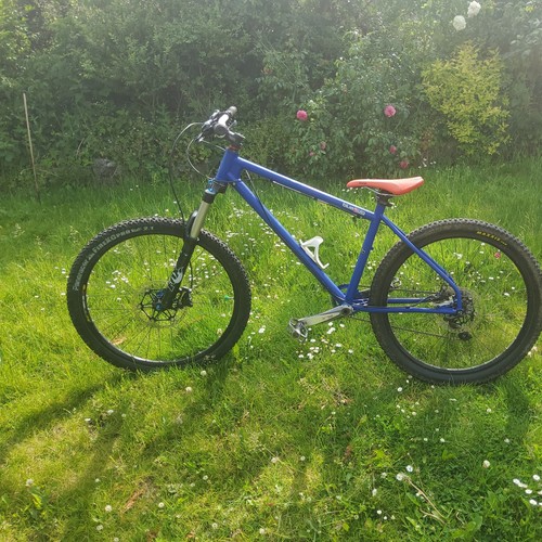 Ragley blue pig - pig, x