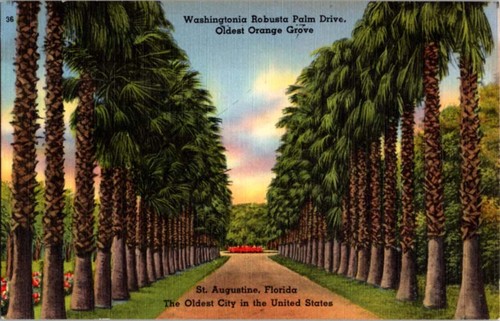 Augustine fl postcard - fl,