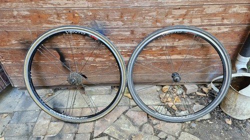 Campagnolo shamal ultra 700c - ultra,