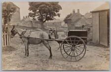 SOCIAL HISTORY Horse & Trap at