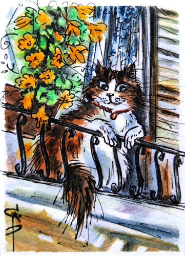 Aceo cat painting fluffy - fluffy, cute