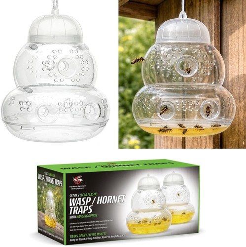 Plastic wasp trap large - trap,