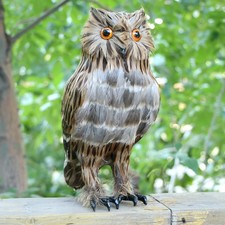 Realistic Feathered Owl