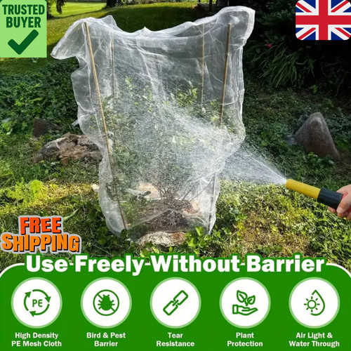 Garden plant protection - garden,