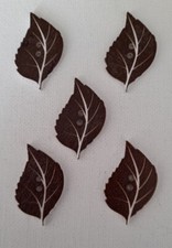 5 LARGE BROWN LEAF SHAPED 2