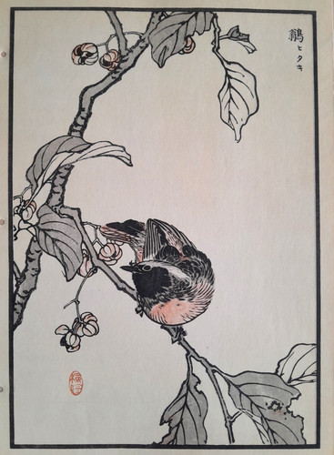 Bairei redstart japanese print - bairei,
