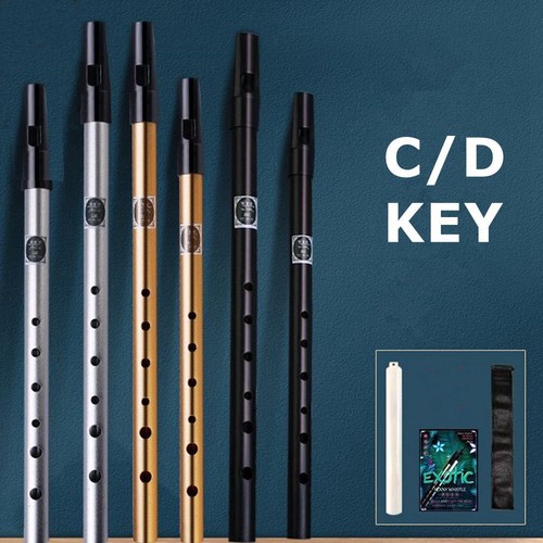 Key irish whistle - key,
