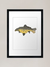 Geometric Mirror Carp Framed