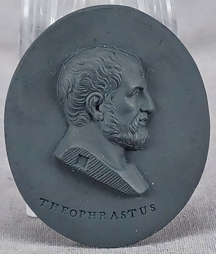 Wedgwood theophrastus black - wedgwood,