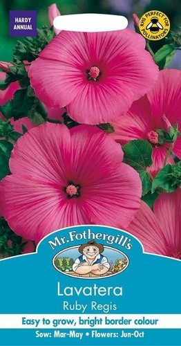 Fothergill lavatera seeds - mr, fothergill's
