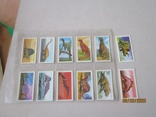 Cadbury Schweppes Age of the