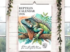 Reptile Calendar 2026-Lizard
