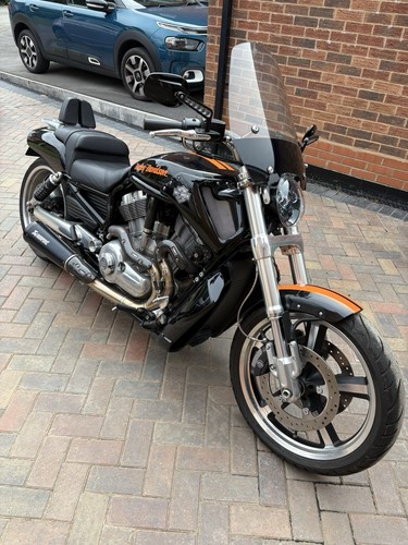 Harley davidson vrod muscle - harley,