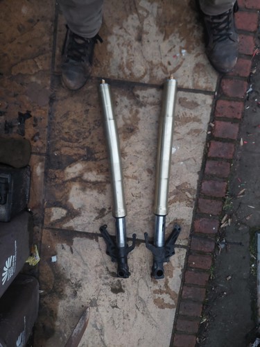 Front forks - front,