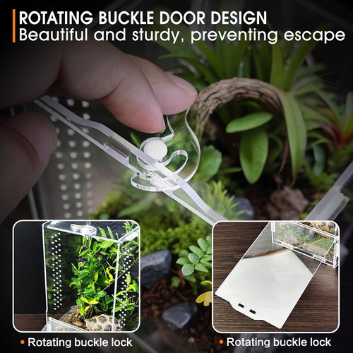 Jumping spider enclosure - jumping,