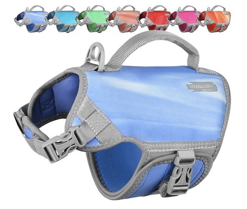 Neoprene dog life - dog, jacket,