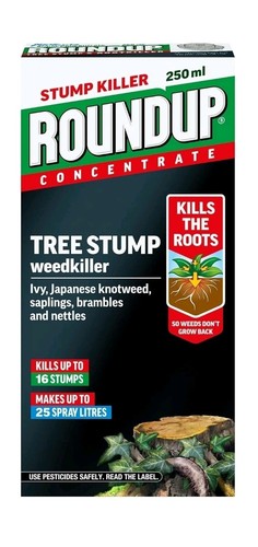 Roundup tree stump and root - tree,
