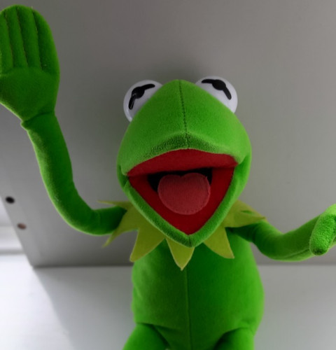 Kermit the frog - plush, toy